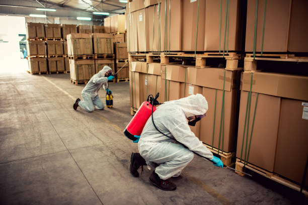 Best Residential Pest Control  in Eastpointe, MI