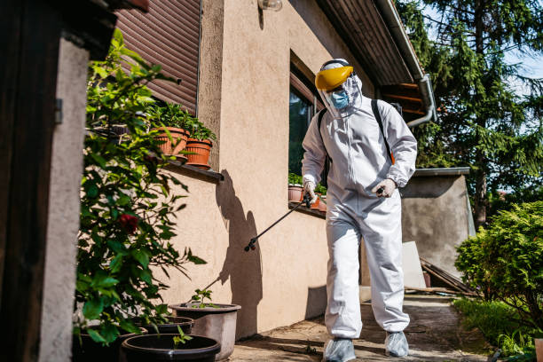 Best Pest Control Near Me in Eastpointe, MI