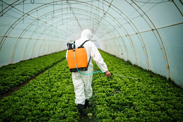 Best Best Pest Control Near Me  in Eastpointe, MI