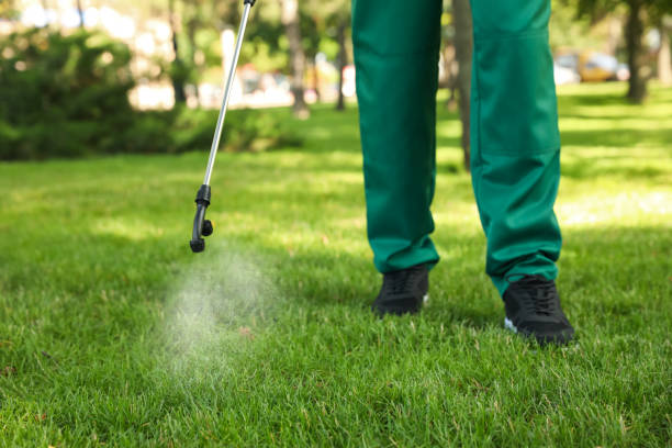 Best Flea Control Services  in Eastpointe, MI